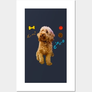 Doggy math with cute Cavoodle, Cavapoo, Cavalier King Charles Spaniel Posters and Art